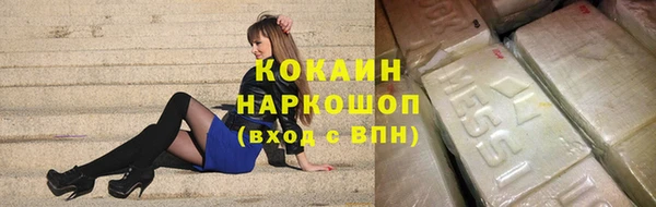 индика Елизово