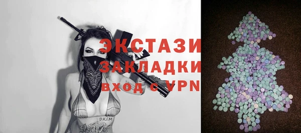 индика Елизово