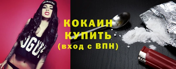 индика Елизово