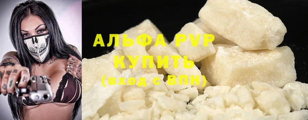 индика Елизово