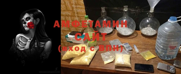 индика Елизово