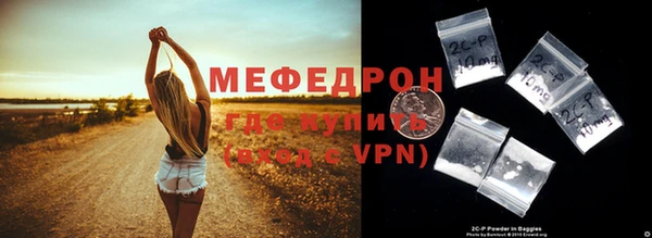 индика Елизово