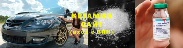 индика Елизово