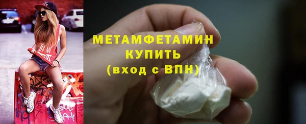 индика Елизово