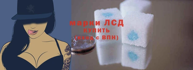 индика Елизово