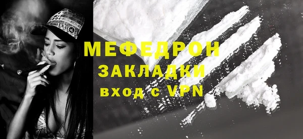 индика Елизово