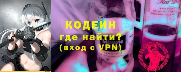 индика Елизово
