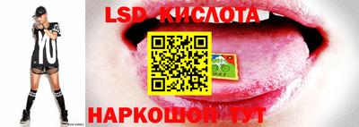 стафф Старая Купавна