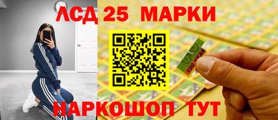 гидра Ставрополь
