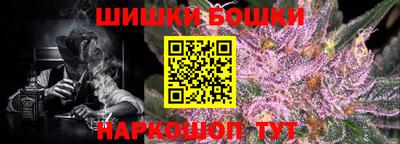 гидра Ставрополь