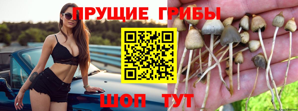 Галлюциногенные грибы мухоморы Санкт-Петербург